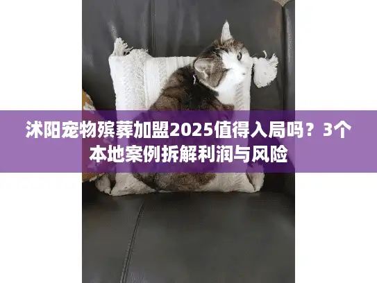 沭阳宠物殡葬加盟2025值得入局吗？3个本地案例拆解利润与风险