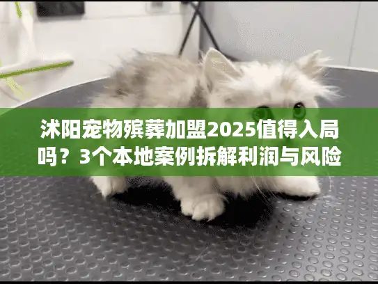 沭阳宠物殡葬加盟2025值得入局吗？3个本地案例拆解利润与风险