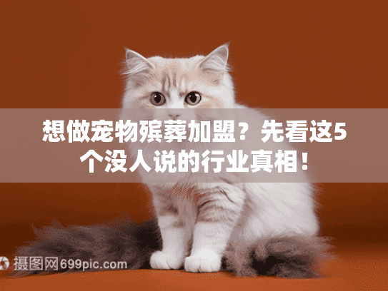 想做宠物殡葬加盟？先看这5个没人说的行业真相！