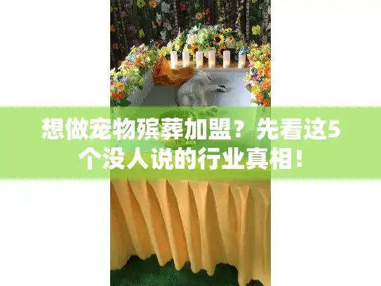 想做宠物殡葬加盟？先看这5个没人说的行业真相！