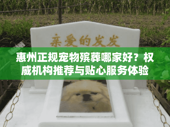 惠州正规宠物殡葬哪家好?权威机构推荐与贴心服务体验 惠州正规宠物殡葬哪家好?权威机构推荐与贴心服务体验