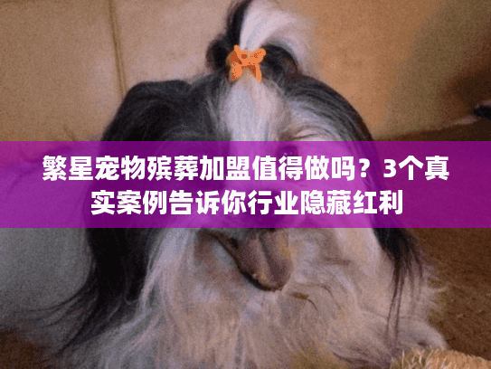 繁星宠物殡葬加盟值得做吗？3个真实案例告诉你行业隐藏红利