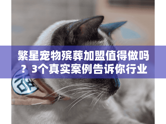 繁星宠物殡葬加盟值得做吗？3个真实案例告诉你行业隐藏红利