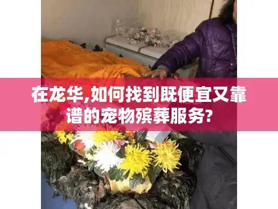 在龙华,如何找到既便宜又靠谱的宠物殡葬服务?