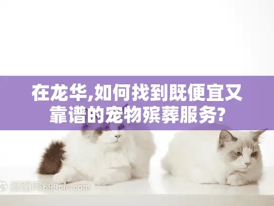 在龙华,如何找到既便宜又靠谱的宠物殡葬服务?