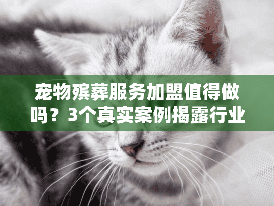 宠物殡葬服务加盟值得做吗?3个真实案例揭露行业隐藏门道与盈利真相 宠物殡葬服务加盟值得做吗?3个真实案例揭露行业隐藏门道与盈利真相