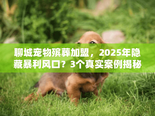 聊城宠物殡葬加盟，2025年隐藏暴利风口？3个真实案例揭秘赚钱逻辑