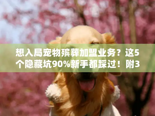 想入局宠物殡葬加盟业务？这5个隐藏坑90%新手都踩过！附3个真实案例