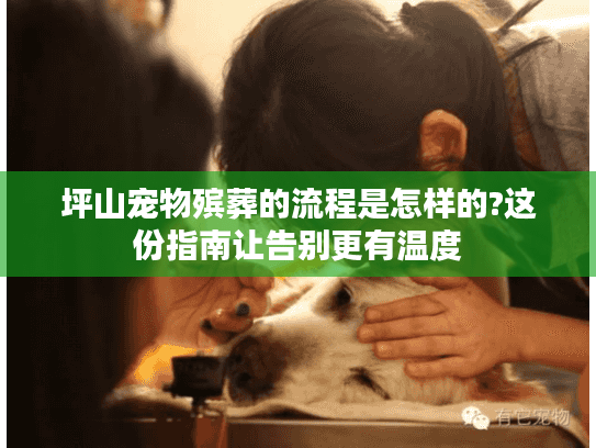 坪山宠物殡葬的流程是怎样的?这份指南让告别更有温度