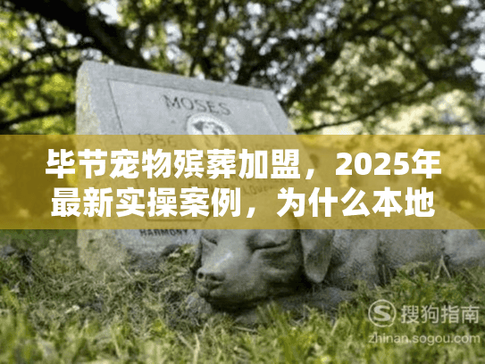 毕节宠物殡葬加盟，2025年最新实操案例，为什么本地养宠人都在找？
