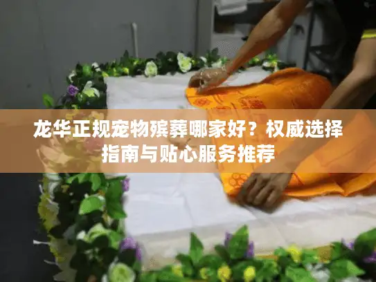 龙华正规宠物殡葬哪家好？权威选择指南与贴心服务推荐