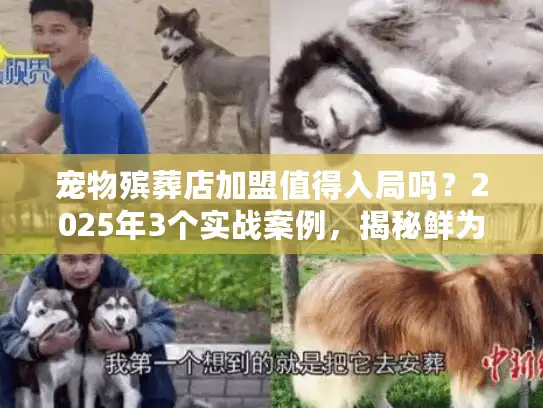 宠物殡葬店加盟值得入局吗？2025年3个实战案例，揭秘鲜为人知的盈利逻辑