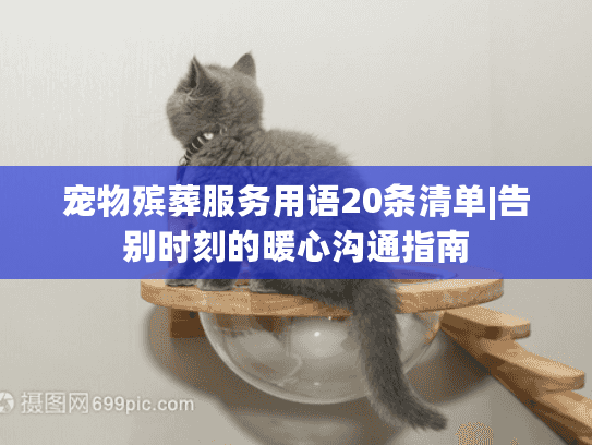 宠物殡葬服务用语20条清单|告别时刻的暖心沟通指南