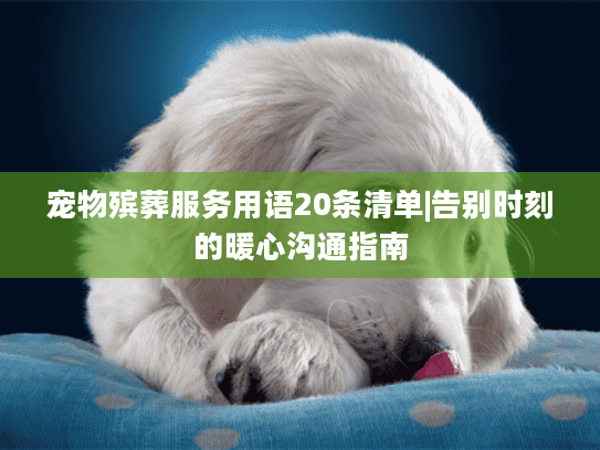 宠物殡葬服务用语20条清单|告别时刻的暖心沟通指南