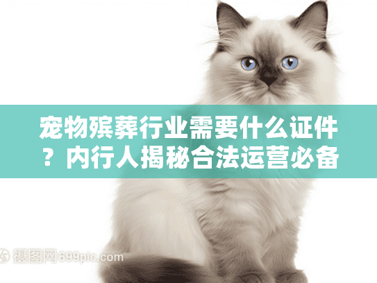 宠物殡葬行业需要什么证件？内行人揭秘合法运营必备的4类稀缺资质！