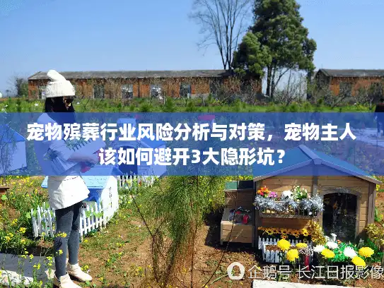 宠物殡葬行业风险分析与对策，宠物主人该如何避开3大隐形坑？