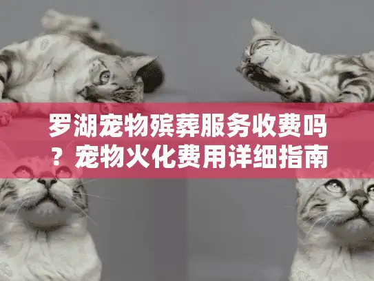 罗湖宠物殡葬服务收费吗？宠物火化费用详细指南