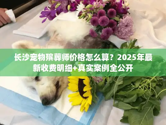 长沙宠物殡葬师价格怎么算？2025年最新收费明细+真实案例全公开