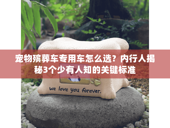 宠物殡葬车专用车怎么选?内行人揭秘3个少有人知的关键标准 宠物殡葬车专用车怎么选?内行人揭秘3个少有人知的关键标准