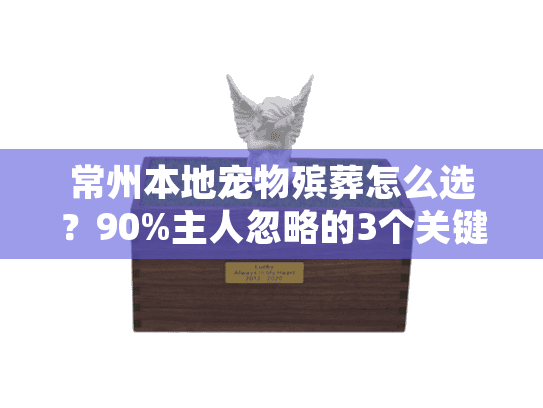 常州本地宠物殡葬怎么选?90%主人忽略的3个关键细节+真实案例 常州本地宠物殡葬怎么选?90%主人忽略的3个关键细节+真实案例