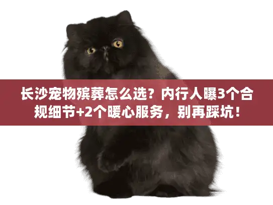 长沙宠物殡葬怎么选？内行人曝3个合规细节+2个暖心服务，别再踩坑！