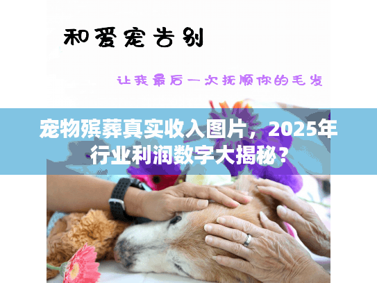 宠物殡葬真实收入图片，2025年行业利润数字大揭秘？