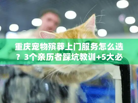 重庆宠物殡葬上门服务怎么选？3个亲历者踩坑教训+5大必看标准