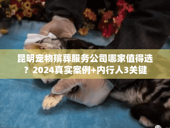 昆明宠物殡葬服务公司哪家值得选?2024真实案例+内行人3关键 昆明宠物殡葬服务公司哪家值得选?2024真实案例+内行人3关键