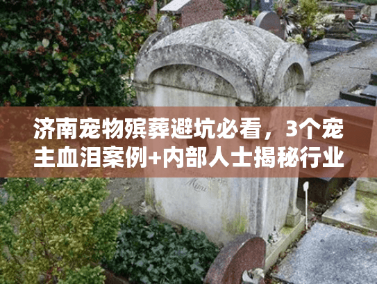 济南宠物殡葬避坑必看，3个宠主血泪案例+内部人士揭秘行业真相！