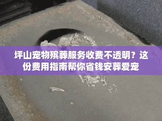 坪山宠物殡葬服务收费不透明？这份费用指南帮你省钱安葬爱宠
