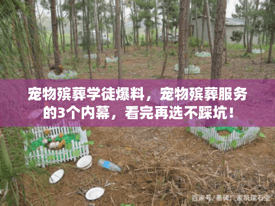 宠物殡葬学徒爆料，宠物殡葬服务的3个内幕，看完再选不踩坑！