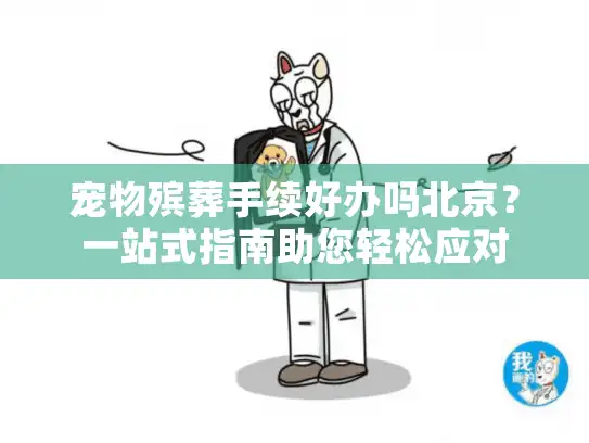 宠物殡葬手续好办吗北京？一站式指南助您轻松应对