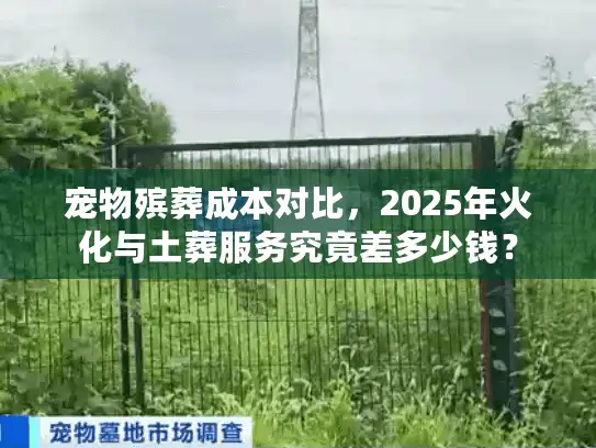 宠物殡葬成本对比，2025年火化与土葬服务究竟差多少钱？