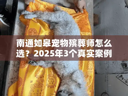 南通如皋宠物殡葬师怎么选？2025年3个真实案例帮你避坑