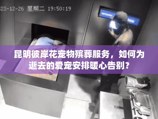 昆明彼岸花宠物殡葬服务,如何为逝去的爱宠安排暖心告别? 昆明彼岸花宠物殡葬服务,如何为逝去的爱宠安排暖心告别?