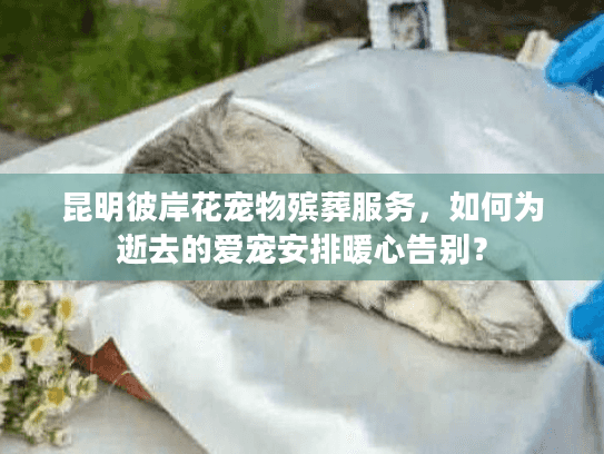 昆明彼岸花宠物殡葬服务,如何为逝去的爱宠安排暖心告别? 昆明彼岸花宠物殡葬服务,如何为逝去的爱宠安排暖心告别?