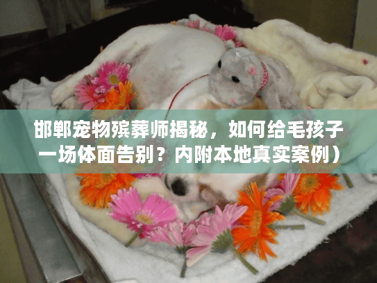 邯郸宠物殡葬师揭秘，如何给毛孩子一场体面告别？内附本地真实案例）