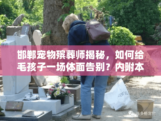 邯郸宠物殡葬师揭秘，如何给毛孩子一场体面告别？内附本地真实案例）