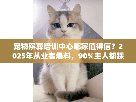 宠物殡葬培训中心哪家值得信？2025年从业者爆料，90%主人都踩过这些坑