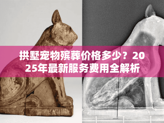 拱墅宠物殡葬价格多少？2025年最新服务费用全解析