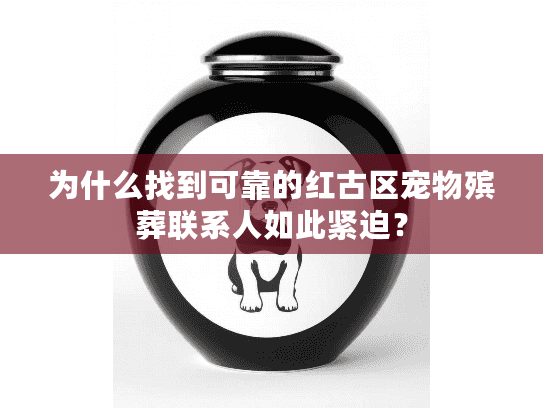 为什么找到可靠的红古区宠物殡葬联系人如此紧迫？