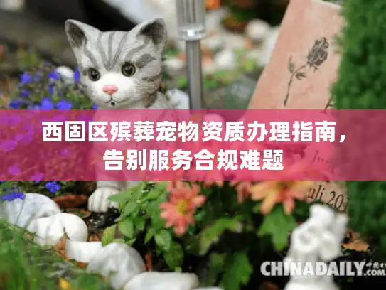 西固区殡葬宠物资质办理指南，告别服务合规难题