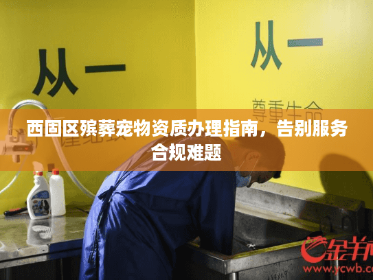 西固区殡葬宠物资质办理指南，告别服务合规难题