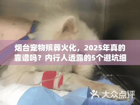 烟台宠物殡葬火化，2025年真的靠谱吗？内行人透露的5个避坑细节！