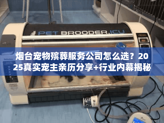 烟台宠物殡葬服务公司怎么选?2025真实宠主亲历分享+行业内幕揭秘 烟台宠物殡葬服务公司怎么选?2025真实宠主亲历分享+行业内幕揭秘