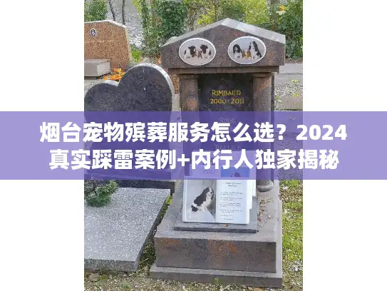 烟台宠物殡葬服务怎么选？2024真实踩雷案例+内行人独家揭秘