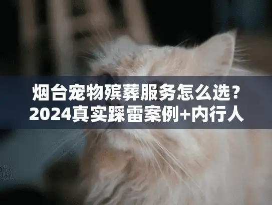 烟台宠物殡葬服务怎么选？2024真实踩雷案例+内行人独家揭秘