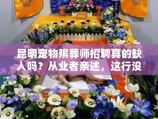 昆明宠物殡葬师招聘真的缺人吗？从业者亲述，这行没那么简单！