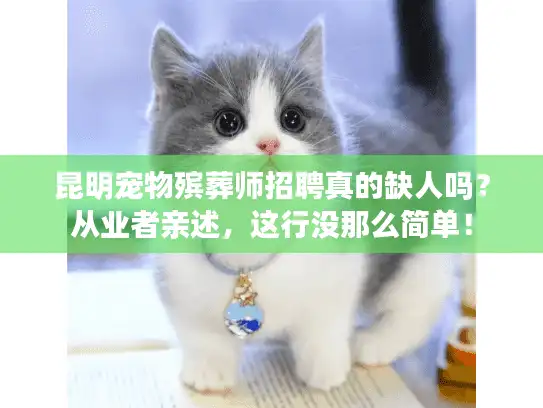 昆明宠物殡葬师招聘真的缺人吗？从业者亲述，这行没那么简单！