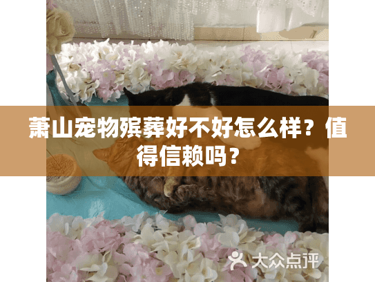 萧山宠物殡葬好不好怎么样？值得信赖吗？